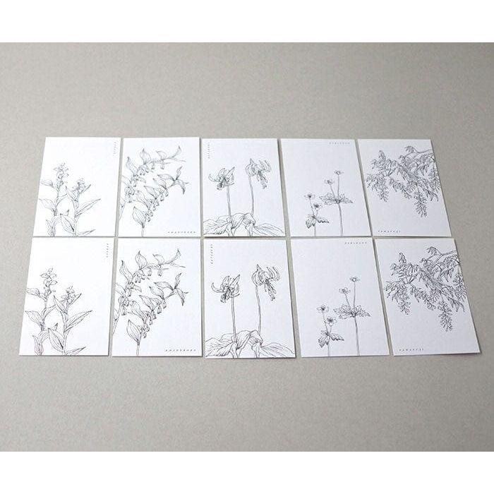 Mocolier Linylane Series Message Card - 001 Spring Wildflowers