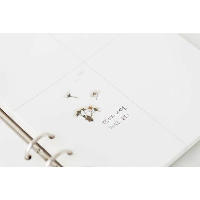 Appree Pressed Flower Sticker - Bridal wreath