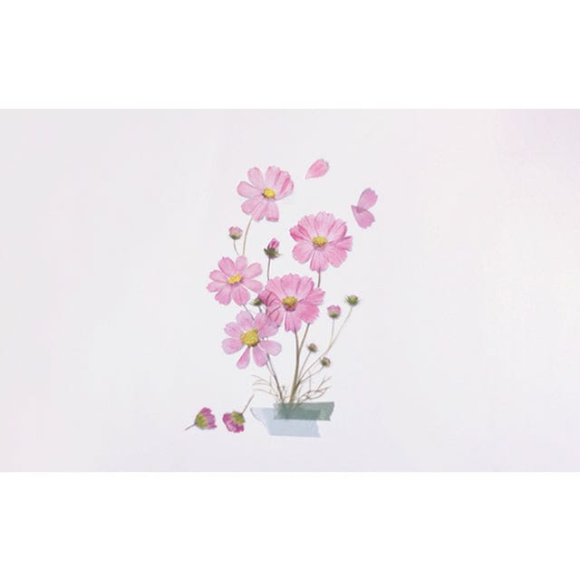 Appree Pressed Flower Sticker - Cosmos