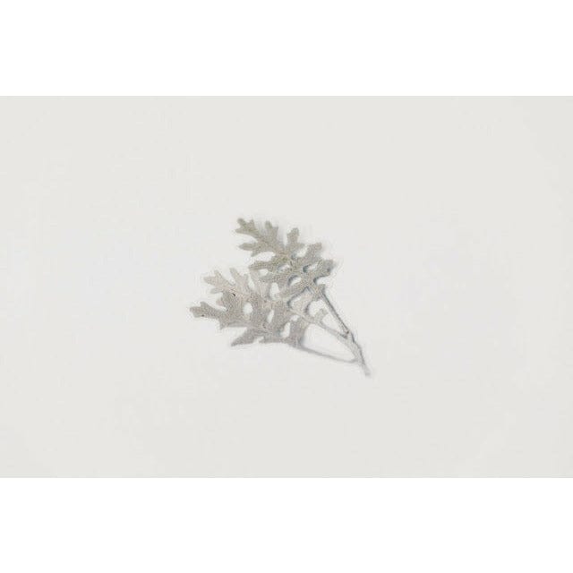 Appree Pressed Flower Sticker - Dusty miller