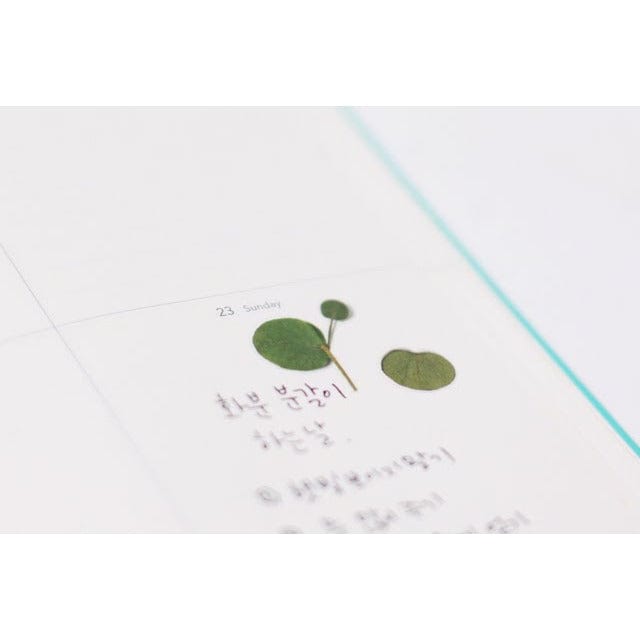 Appree Pressed Flower Sticker - Eucalyptus