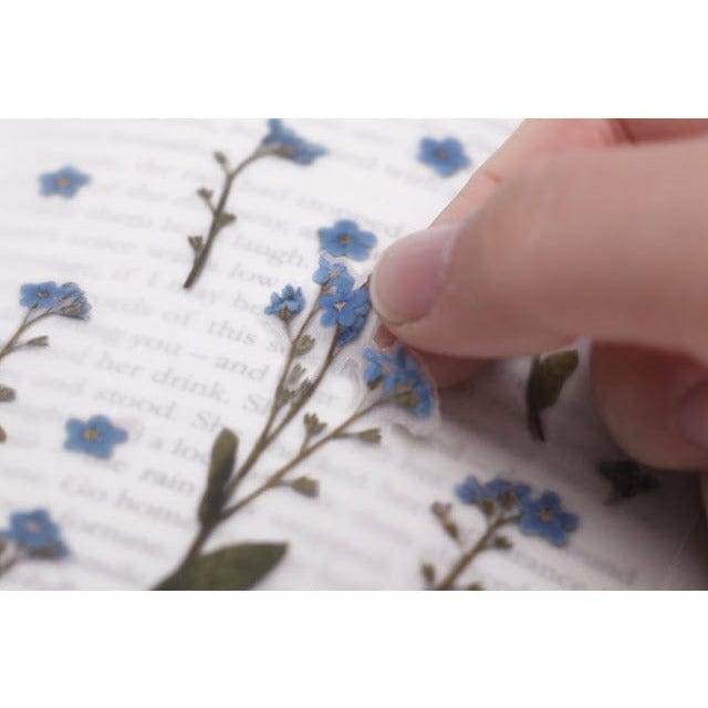 Appree Pressed Flower Sticker - Forget me not
