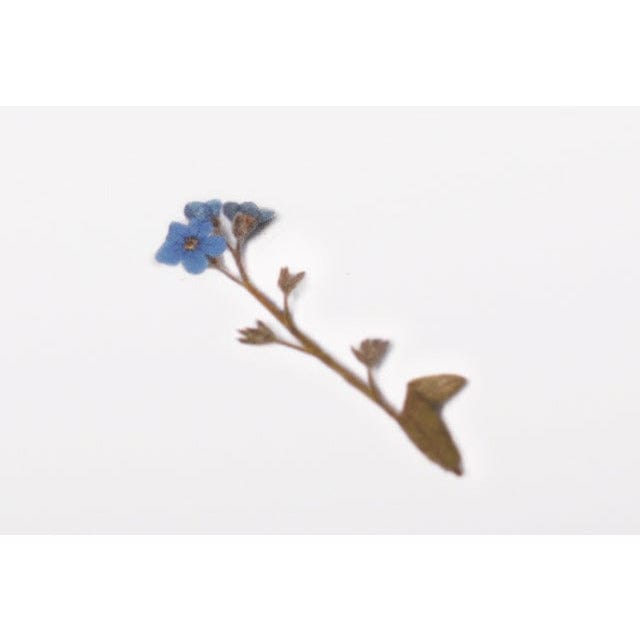 Appree Pressed Flower Sticker - Forget me not