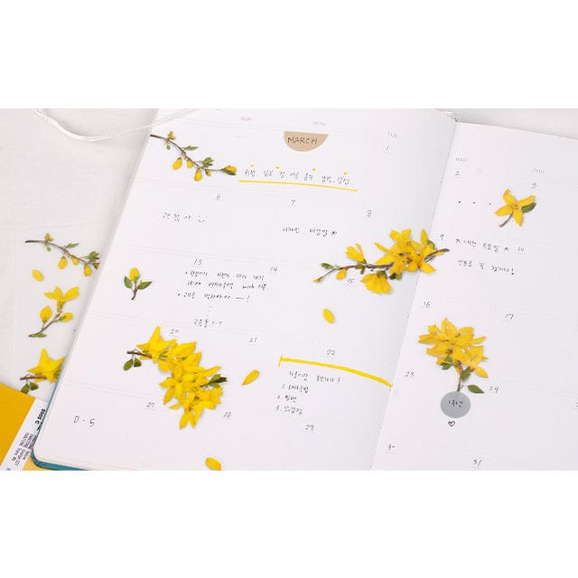 Appree Pressed Flower Sticker - Forsythia