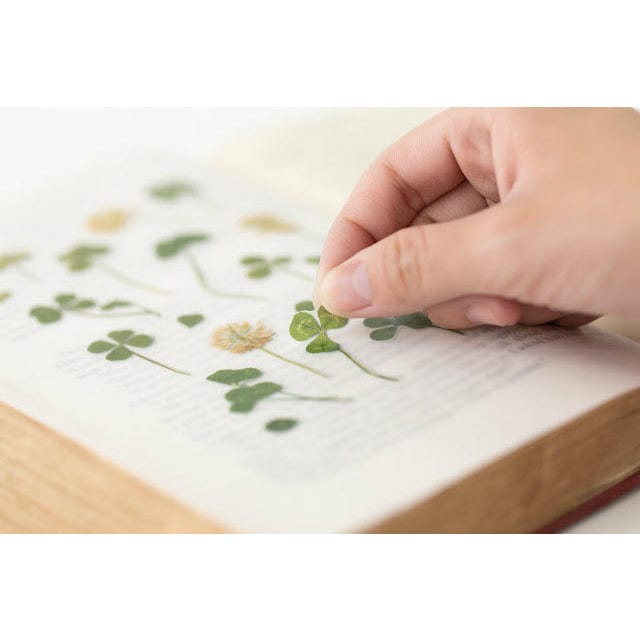 Appree Pressed Flower Sticker - Four Leaf Clove