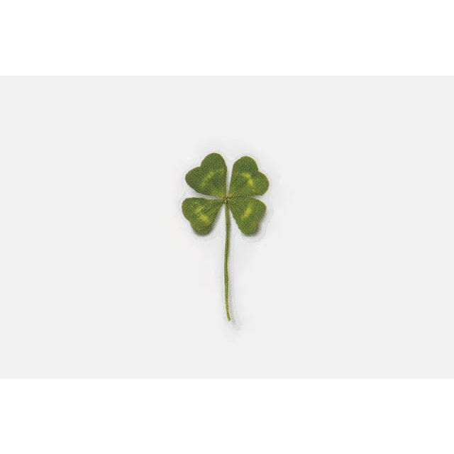 Appree Pressed Flower Sticker - Four Leaf Clove