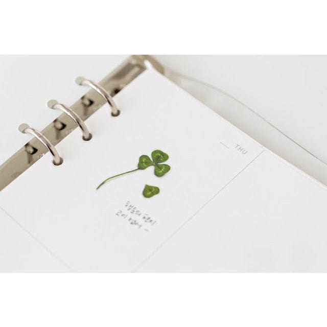 Appree Pressed Flower Sticker - Four Leaf Clove
