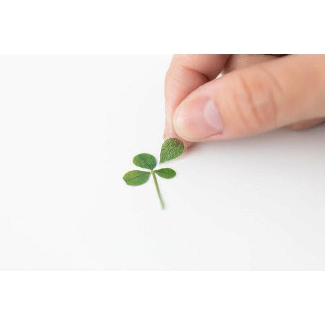 Appree Pressed Flower Sticker - Four Leaf Clove