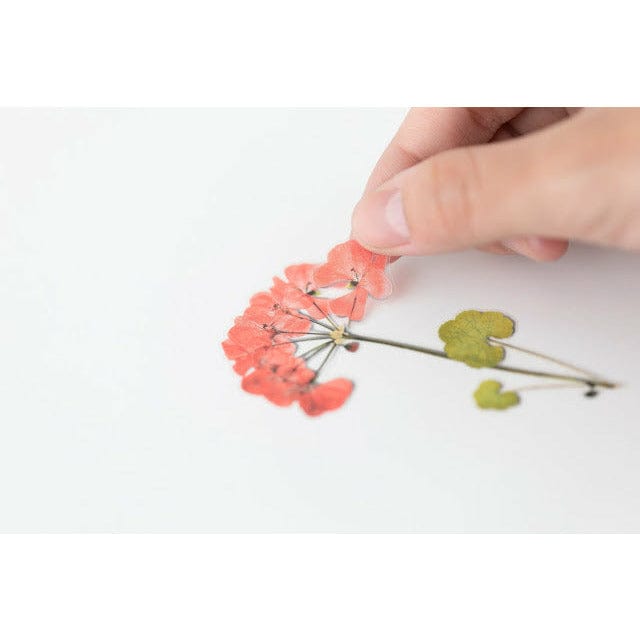 Appree Pressed Flower Sticker - Geranium