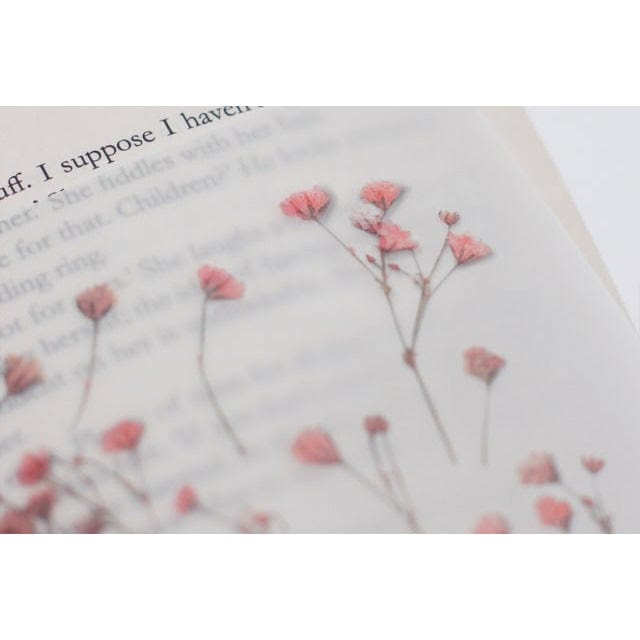 Appree Pressed Flower Sticker - Gypsophila