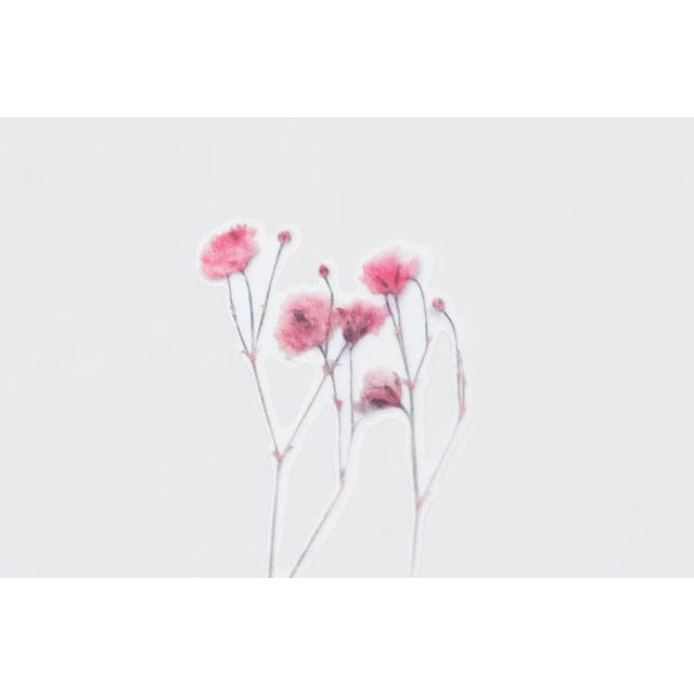 Appree Pressed Flower Sticker - Gypsophila
