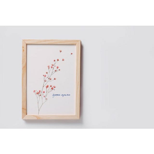 Appree Pressed Flower Sticker - Gypsophila