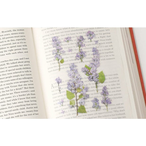 Appree Pressed Flower Sticker - Lilac