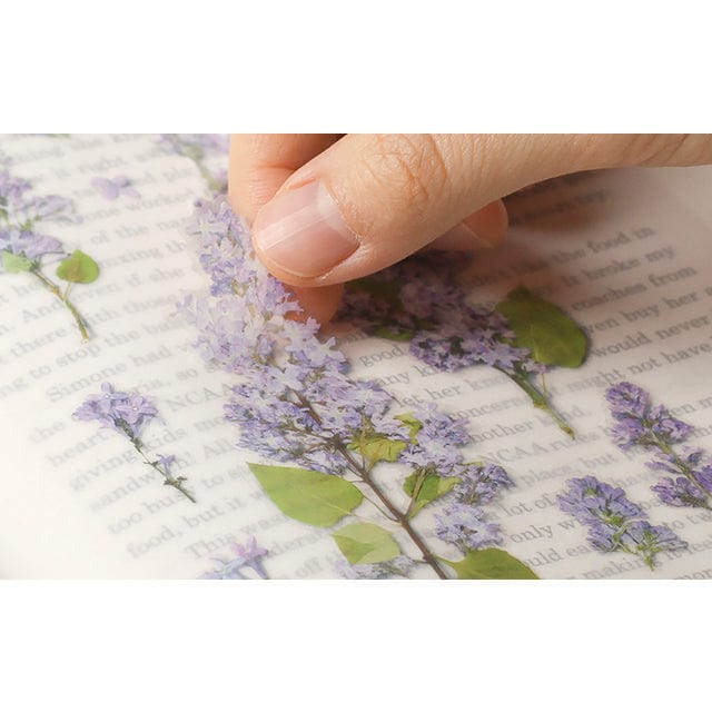 Appree Pressed Flower Sticker - Lilac