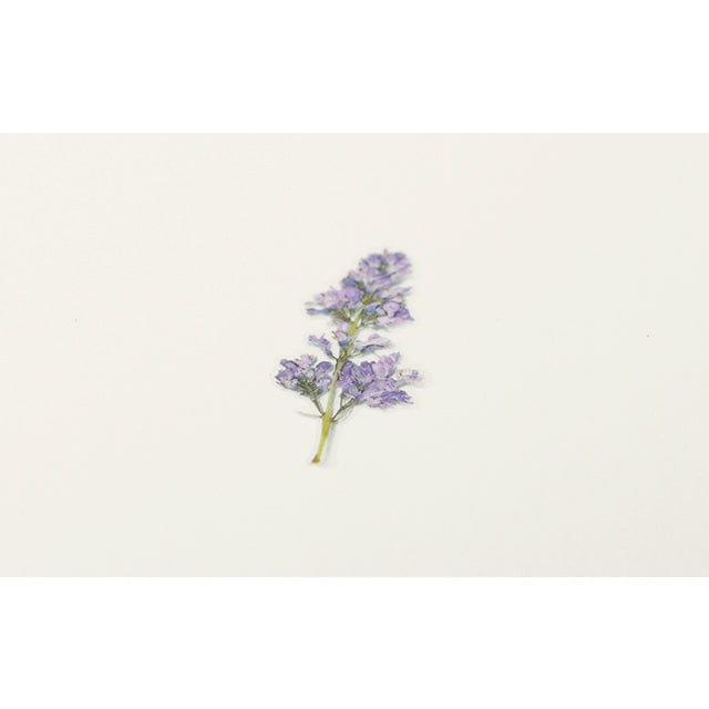 Appree Pressed Flower Sticker - Lilac