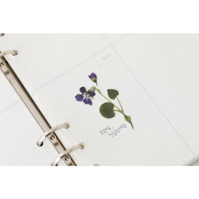 Appree Pressed Flower Sticker - Manchurian violet