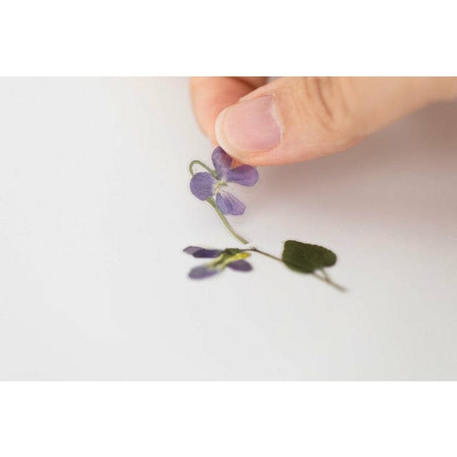 Appree Pressed Flower Sticker - Manchurian violet