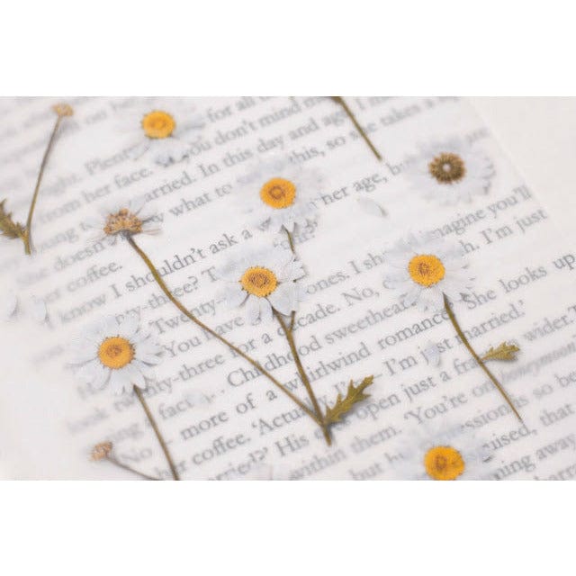 Appree Pressed Flower Sticker - Marguerite
