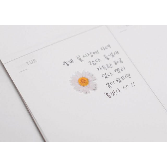 Appree Pressed Flower Sticker - Marguerite