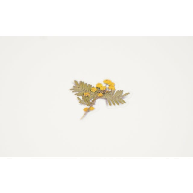 Appree Pressed Flower Sticker - Mimosa