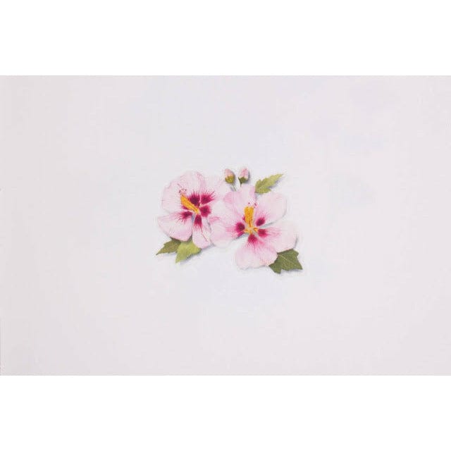 Appree Pressed Flower Sticker - Rose of sharon