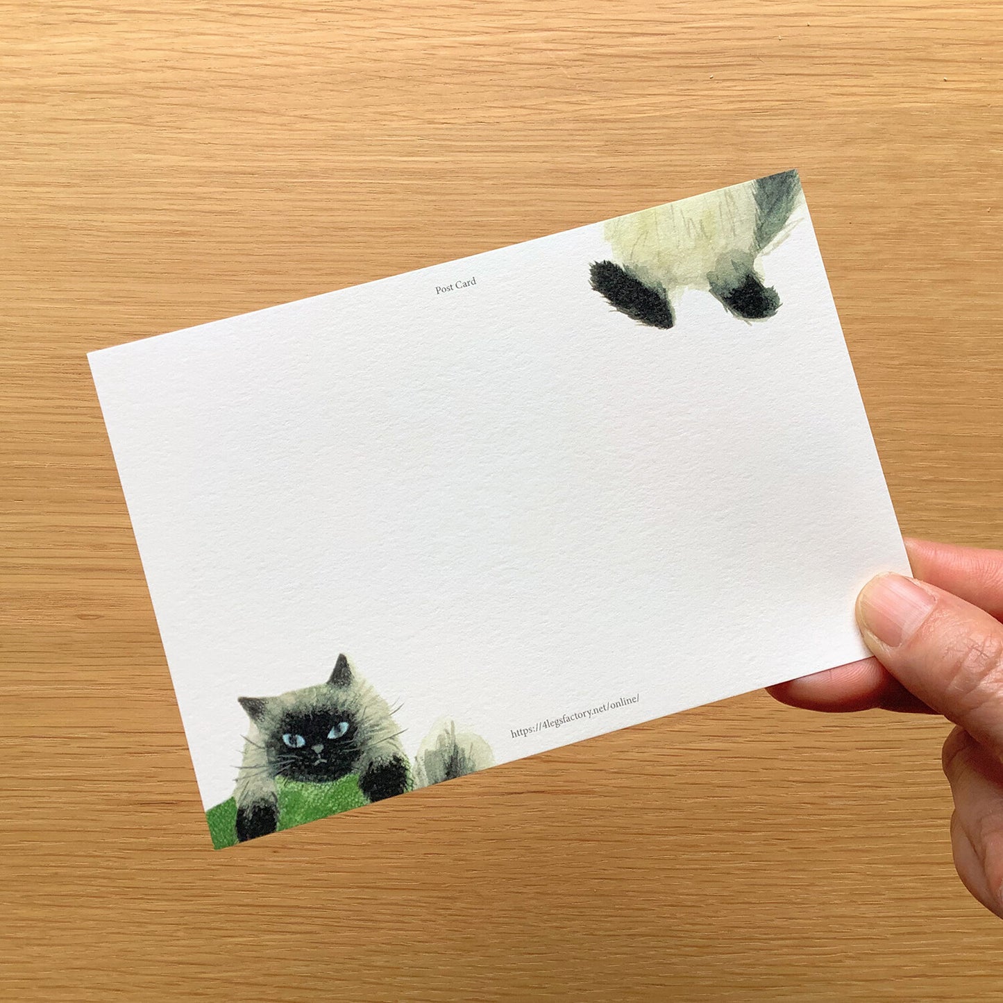 4Legs Postcard - Me and The Cat 01