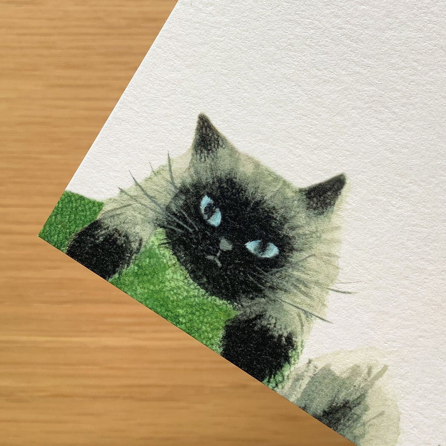 4Legs Postcard - Me and The Cat 01