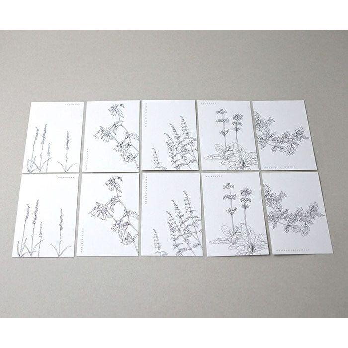 Mocolier Linylane Series Message Card - 002 Wildflowers in Early Summer