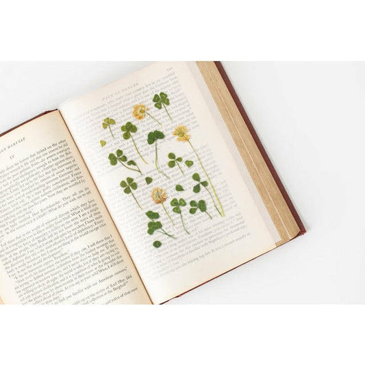 Appree Pressed Flower Sticker - Four Leaf Clove